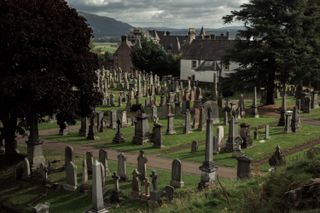 View on a cemetery with all aligned different tombstones between two tall trees and some houses