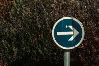 Bumped this way road sign in front of a decaying hedge