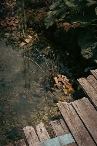 A view to a little crystal clear pond