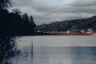 A view on a lake with a bird sitting on a wood stick out of the water