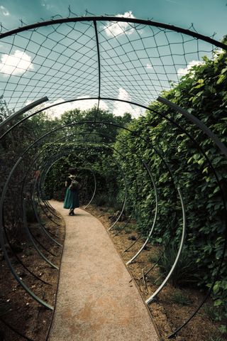 A lady walking on a footpath within a range of circles