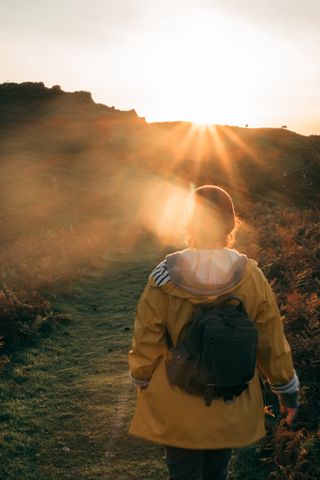 A person from the back in the foreground walking towards a hill with sheep on top of it and the setting sun in the background