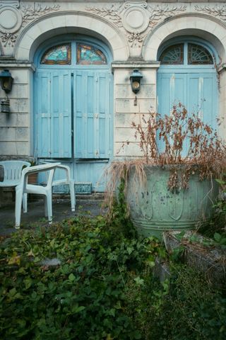 Backyard of an abandoned house with flora growing on it