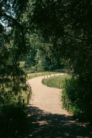 A path from under a shadowy tree leading to a sunbathed area