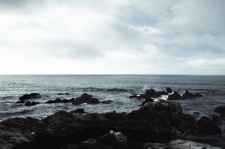 Rough shore with a calm sea