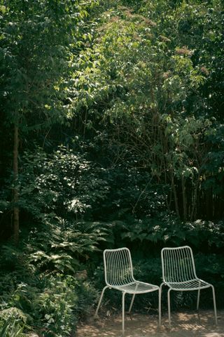 Two white chairs before a luxurious flora