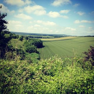 View on the Rennemoulin valley