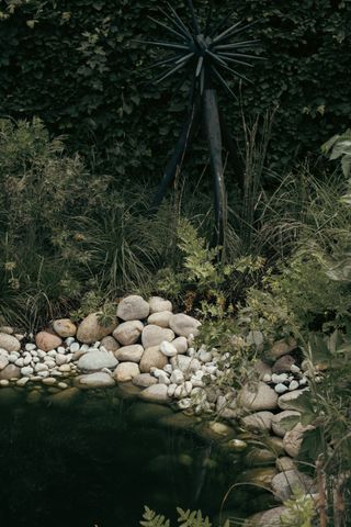 A view on a dark pond and some light rocks and plants around it