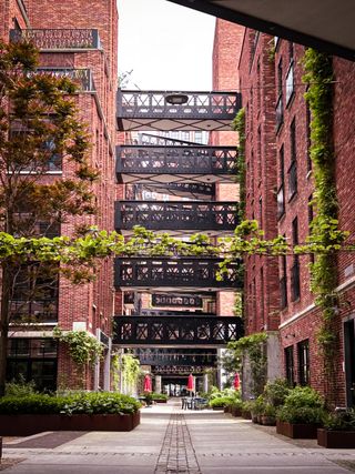 Buildings in Rotterdam made of red bricks, decorated with plants and trees, connected to each other with black bridges