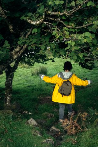 A woman in a yellow jacket carefully climbing down a hill while passing under a tree