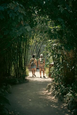 2 people in the center walking out of a tunnel of plants and trees and getting to a big glass house