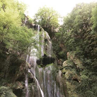 A waterfall covered with plants