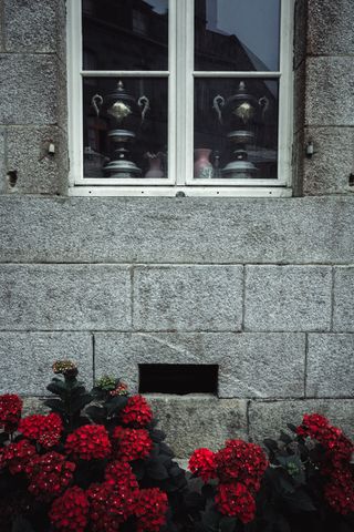 Window of a stone house with majestic red flowers outside and ostentatious vases inside