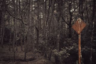 A rusty road sign in a dense forest