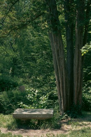 A small stone bench under a tree