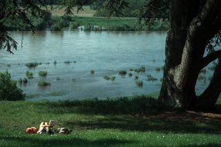 A couple having a break lying on the grass under a big old tree by a river. One is reading, the other napping.