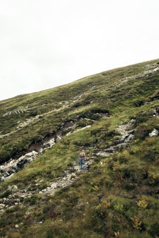 A hiker and their dog climbing a steep green hill