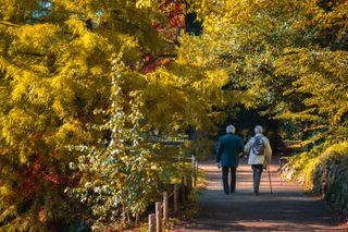 An elderly couple walking in a park in automn