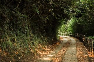 A turning path in autumn