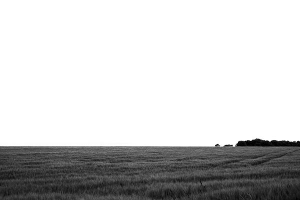 Black and white landscape of a crop field