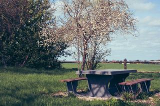 A picnic table in a flowery garden on a sunny day