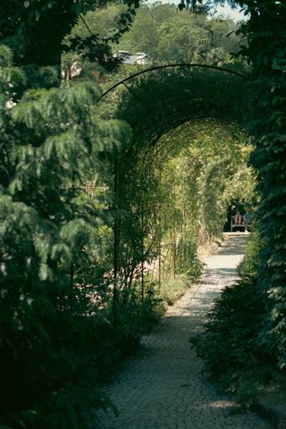 A tunnel of plants leading to somebody sitting on a bench