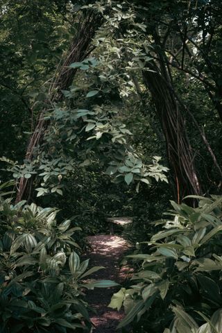 A hidden sit in the light under trees