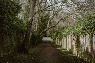 A footpath with dark shadows on the left and bright light on the right