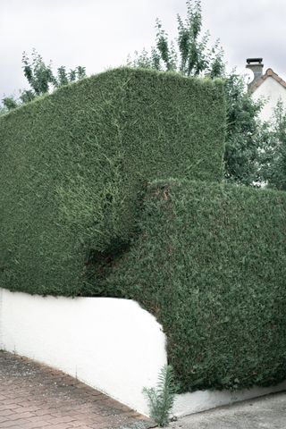 Nested well cut hedges