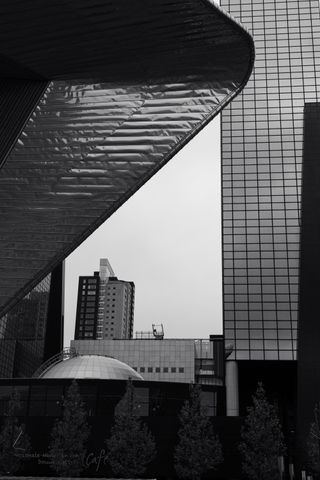 A bunch of different buildings with different shapes in Rotterdam