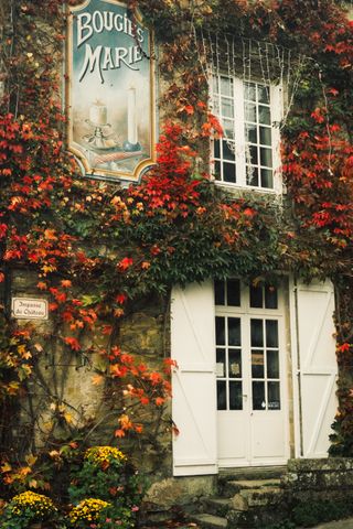 Facade of a candle shop covered with a climbing plant in autumn