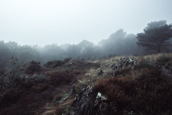 Landscape from a hill in the fog