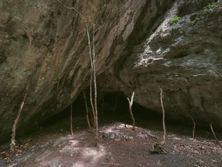 Sticks placed like they're supporting a giant rock