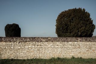 A stone wall with two round shape trees behind