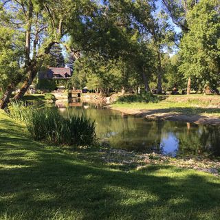 View of a cozy garden with a pond