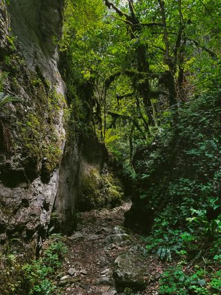 Path through a canyon