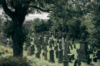 Multiple rows of tombstones under a tree