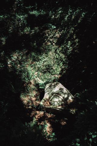 Sculpture of an eye displayed deep in the woods