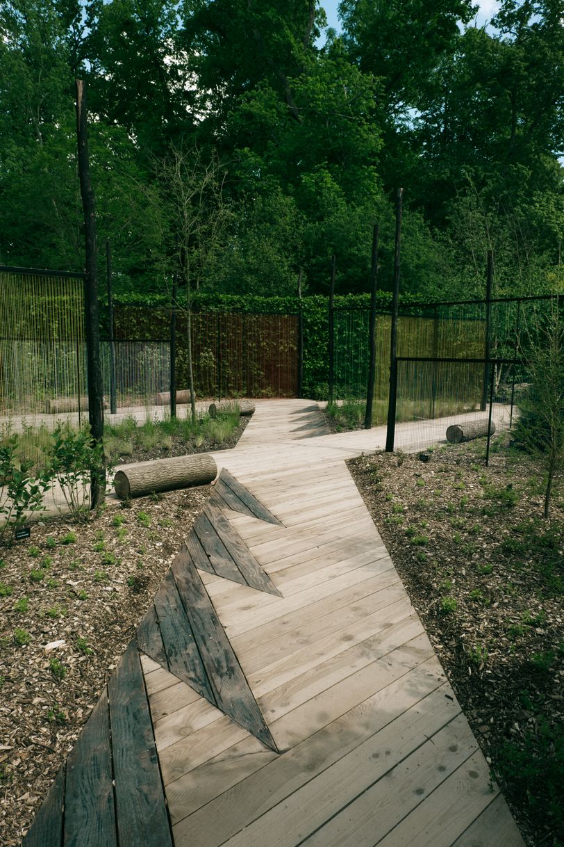 Art installation in a garden with numerous lines