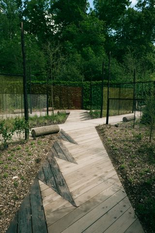 Art installation in a garden with numerous lines