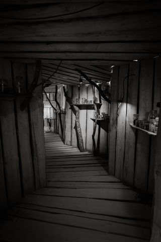 A tunnel made with wood planks