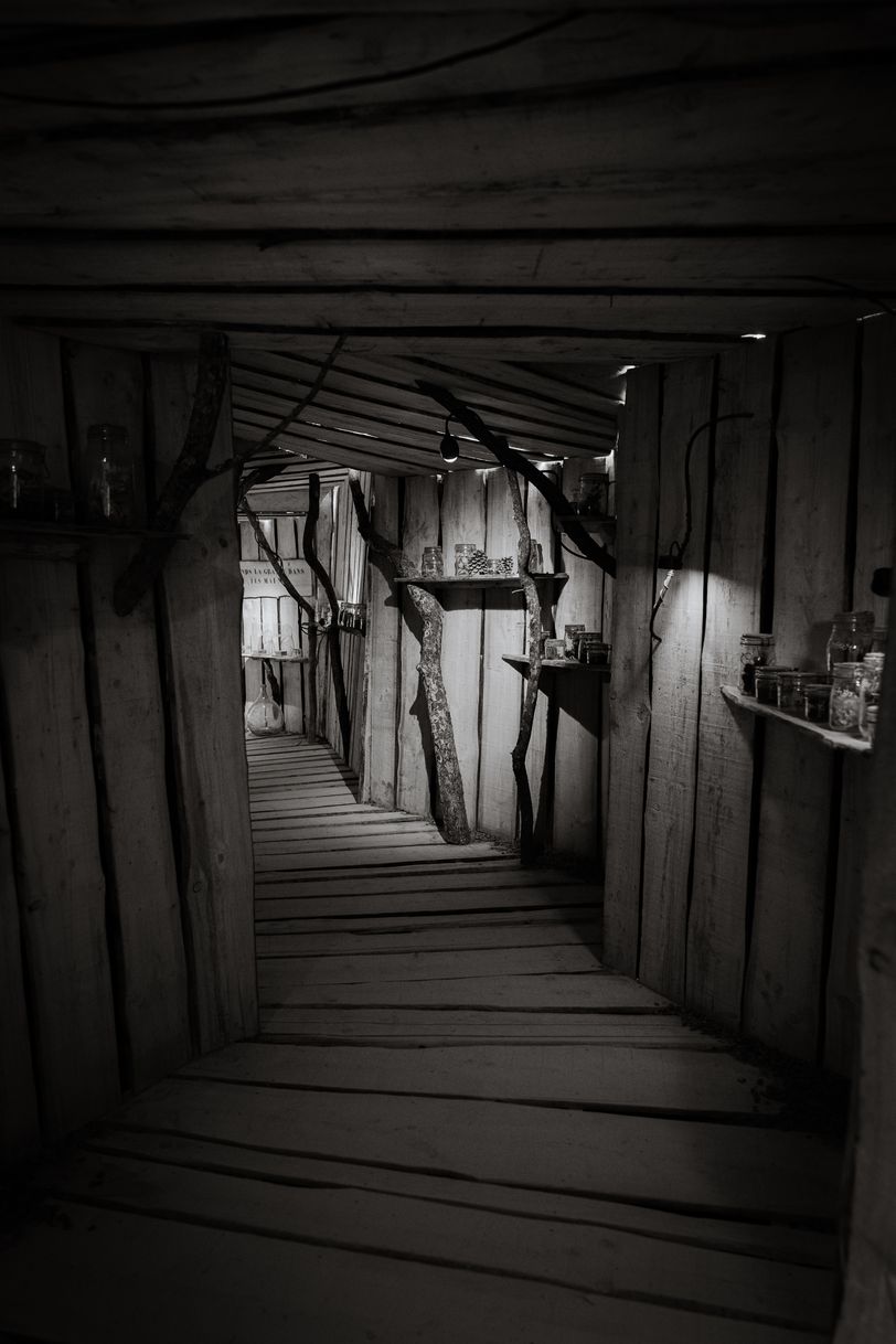 A tunnel made with wood planks