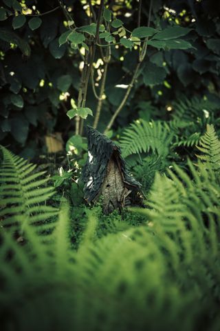 A tiny tiny wood house in nature