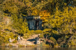 Asian temple hidden behind trees near water