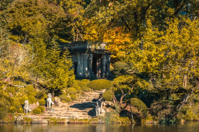 Asian temple hidden behind trees near water
