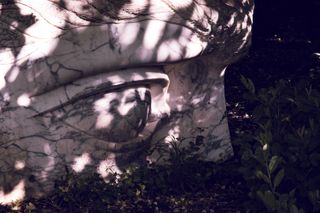 Statue of the upper part of a face in the woods