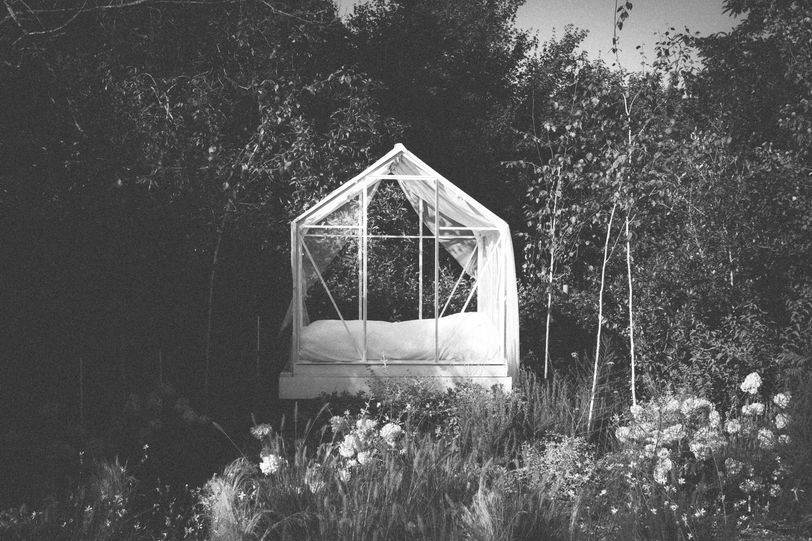 A white canopy bed in flora