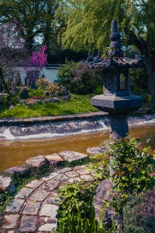 A colorful & blooming asian garden