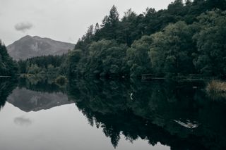 A forest and its perfect reflection in a lake with just a tiny disturbance caused by a duck