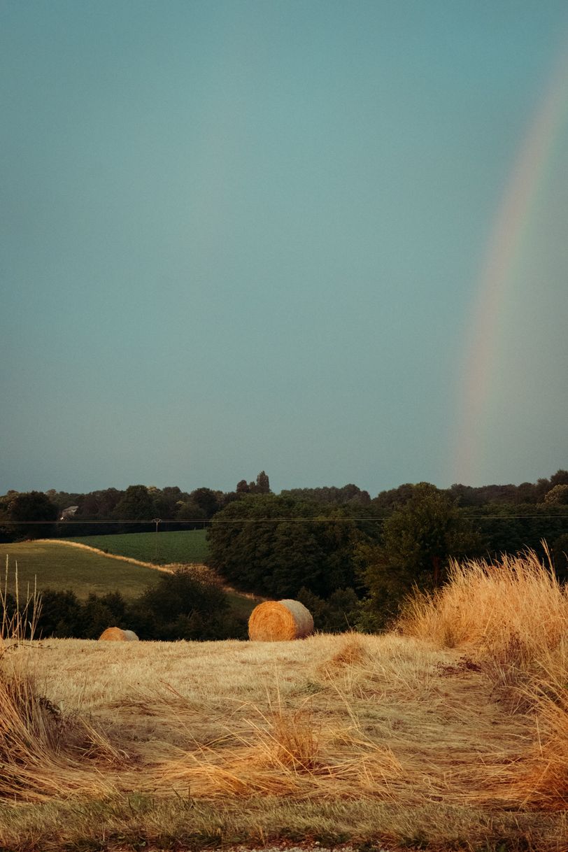 A field being harvested while a wild raindow appears